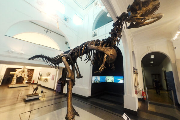 01_G0326044-tratada 01_G0326044-tratada