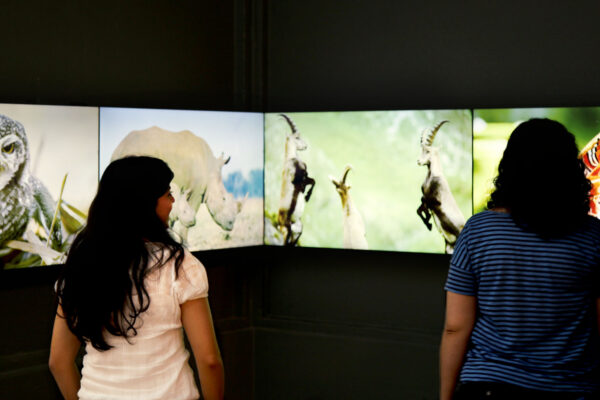 02_IMG_0689-tratada 02_IMG_0689-tratada