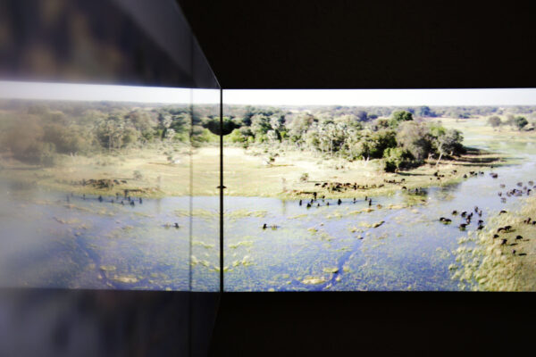 03_IMG_0679-tratada 03_IMG_0679-tratada