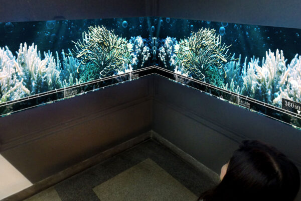 04_G0366068-tratada 04_G0366068-tratada