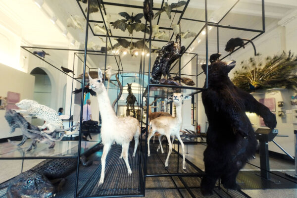 05_GOPR6004-tratada 05_GOPR6004-tratada