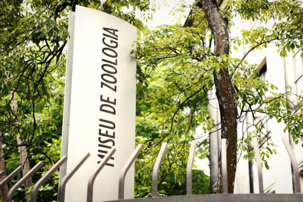 06_IMG_0659-tratada 06_IMG_0659-tratada