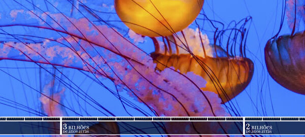 08_biodiversidade 08_biodiversidade