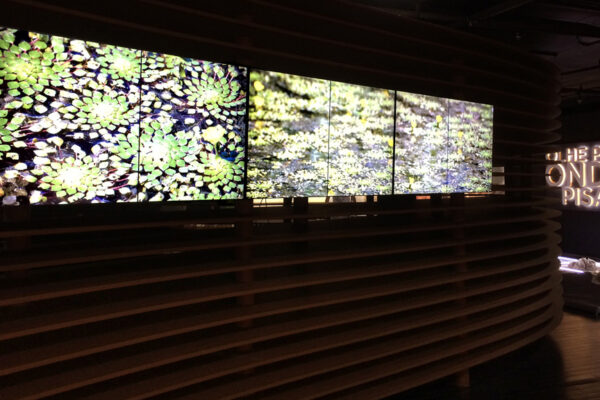 Cerrado-–-Uma-Janela-para-o-Planeta-02 Cerrado-–-Uma-Janela-para-o-Planeta-02