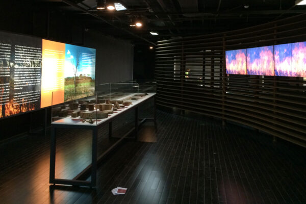 Cerrado-–-Uma-Janela-para-o-Planeta-03 Cerrado-–-Uma-Janela-para-o-Planeta-03