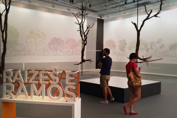 Cerrado-–-Uma-Janela-para-o-Planeta-05 Cerrado-–-Uma-Janela-para-o-Planeta-05