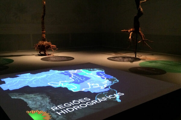 Cerrado-–-Uma-Janela-para-o-Planeta-06 Cerrado-–-Uma-Janela-para-o-Planeta-06