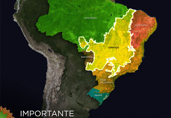 Cerrado-–-Uma-Janela-para-o-Planeta-07 Cerrado-–-Uma-Janela-para-o-Planeta-07