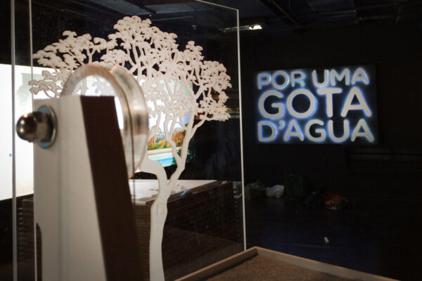 Cerrado-–-Uma-Janela-para-o-Planeta-09 Cerrado-–-Uma-Janela-para-o-Planeta-09