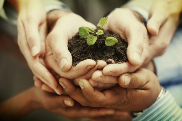 IBOPE-Ambiental-galeria-10 IBOPE-Ambiental-galeria-10