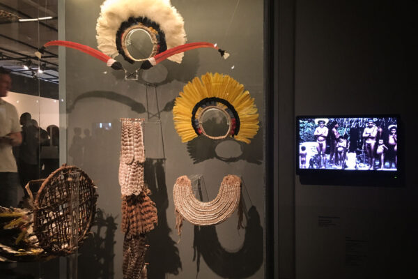 IMG_4380web IMG_4380web