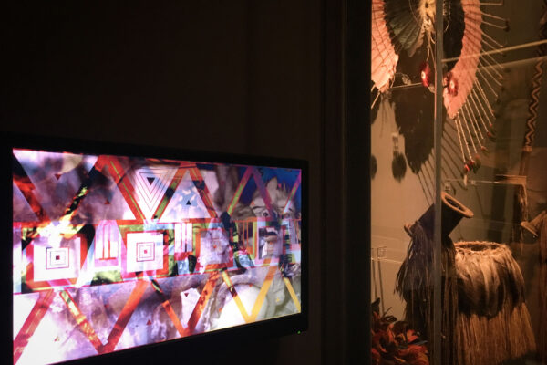 IMG_4388web IMG_4388web