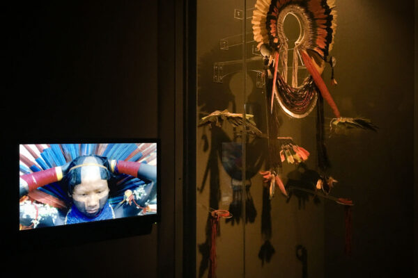 IMG_4396web IMG_4396web