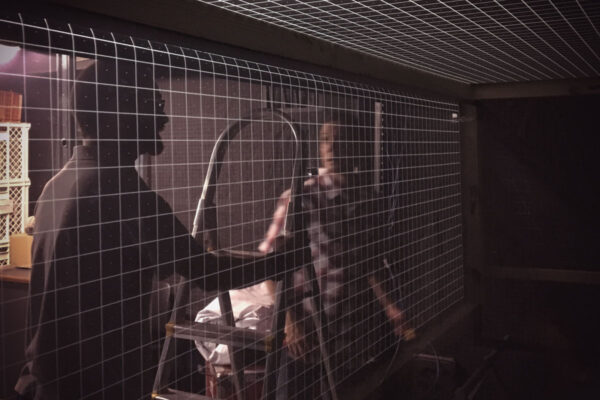 IMG_8618-web IMG_8618-web