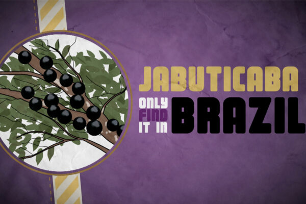 Jabuticaba-galeria-03 Jabuticaba-galeria-03