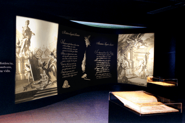 amazonia-felsinea_02 amazonia-felsinea_02