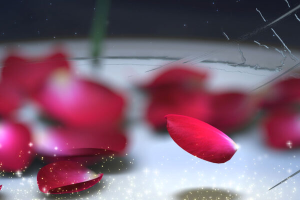 bela-e-afera-frame-05 bela-e-afera-frame-05