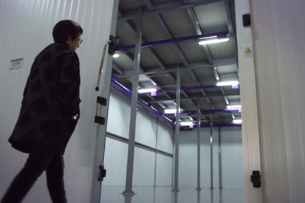 cle-galeria-4web-07 cle-galeria-4web-07