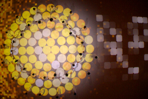 oc-2014-galeria-10 oc-2014-galeria-10