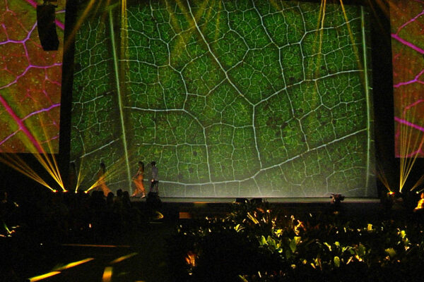 oc-2014-galeria-15 oc-2014-galeria-15