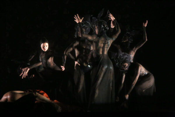 orpheus003 orpheus003