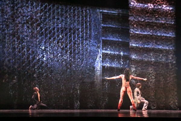 orpheus004 orpheus004