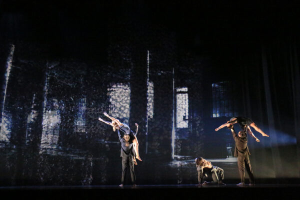 orpheus005 orpheus005