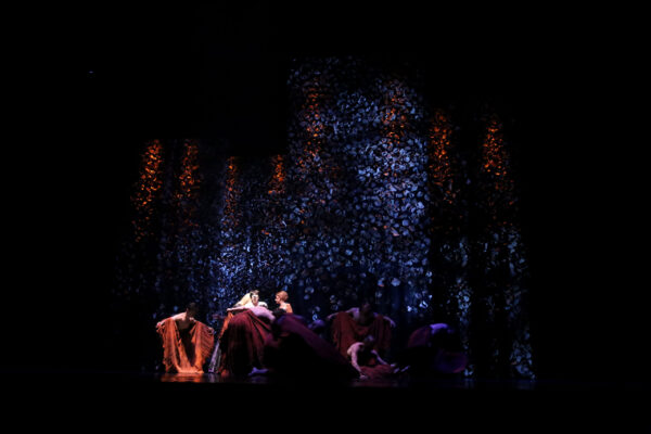 orpheus011 orpheus011