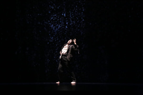 orpheus012 orpheus012