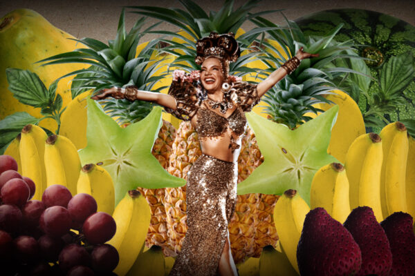 pioneiros-galeria-4web-10 pioneiros-galeria-4web-10