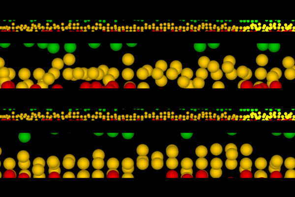 red-bull-party-galeria-4-web-22 red-bull-party-galeria-4-web-22