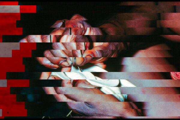 vitrines_03web vitrines_03web