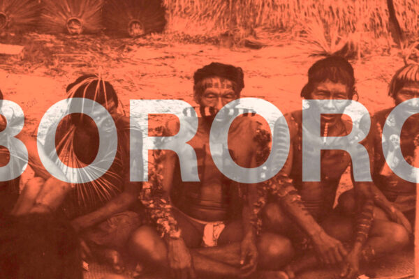 vitrines_04web vitrines_04web