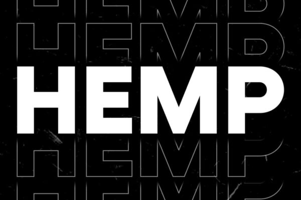 05_Bienalle-Archittetura-LED 05_Bienalle-Archittetura-LED