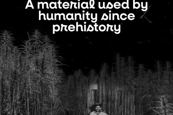 08_Bienalle-Archittetura-LED 08_Bienalle-Archittetura-LED