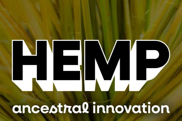 10_Bienalle-Archittetura-LED 10_Bienalle-Archittetura-LED