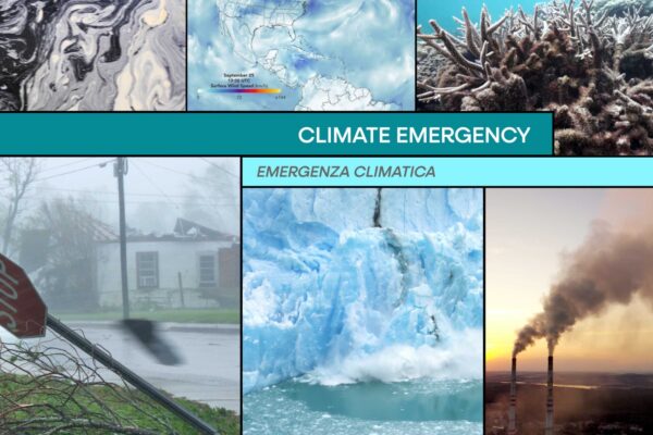 11_Bienalle-Archittetura-MONITOR 11_Bienalle-Archittetura-MONITOR