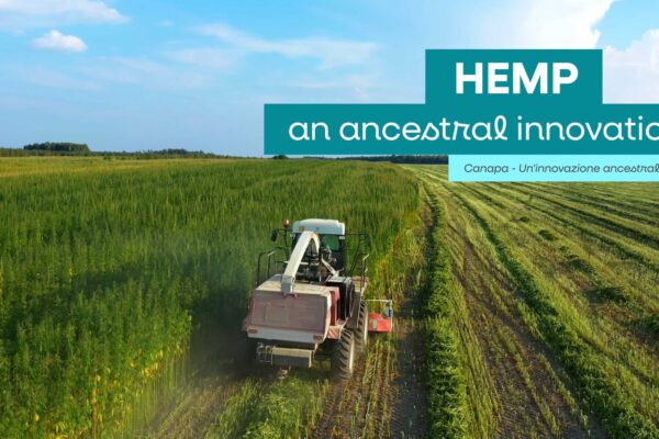 13_Bienalle-Archittetura-MONITOR 13_Bienalle-Archittetura-MONITOR