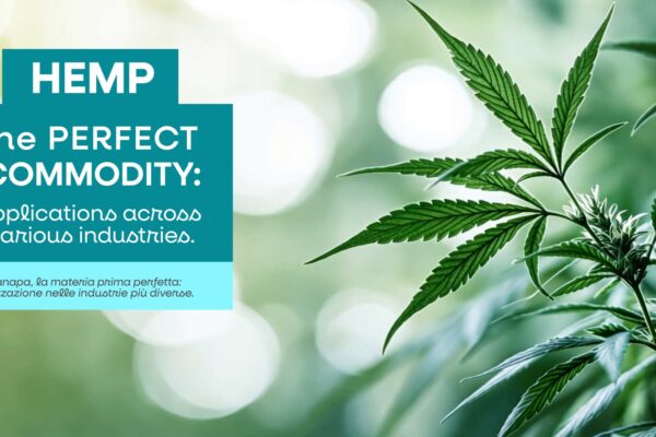 14_Bienalle-Archittetura-MONITOR 14_Bienalle-Archittetura-MONITOR