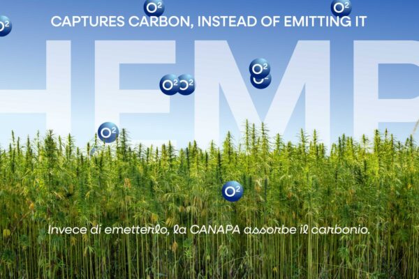 15_Bienalle-Archittetura-MONITOR 15_Bienalle-Archittetura-MONITOR