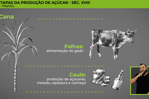 FazendaAracatiba_13 FazendaAracatiba_13