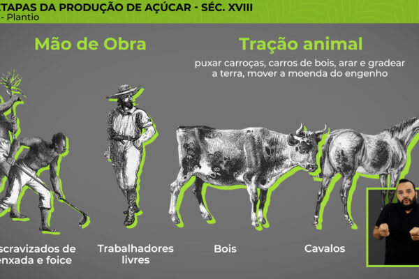 FazendaAracatiba_14 FazendaAracatiba_14