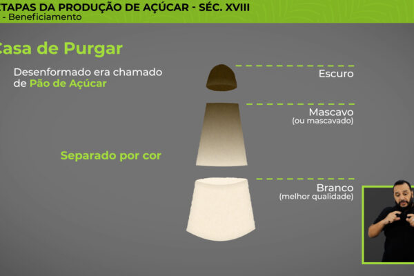 FazendaAracatiba_16 FazendaAracatiba_16
